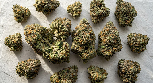 dr ganja hemp THCA flower buds flat lay comparison premium indoor strains 2026