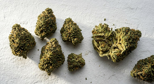 effets cbd fleur de chanvre premium dense buds hurcann grossiste