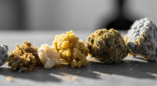 Hero image showing kief and hash textures together in premium editorial composition | Hurcann