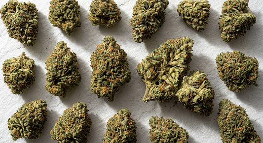 buy potent CBD flower cheap wholesale high-quality hemp buds Hurcann