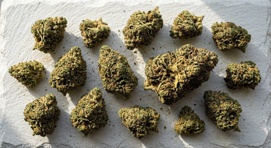 flower snow kief dusted premium THCA hemp flower buds flat lay white surface