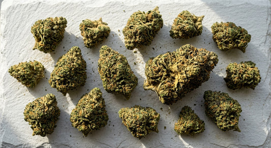 flower snow kief dusted premium THCA hemp flower buds flat lay white surface