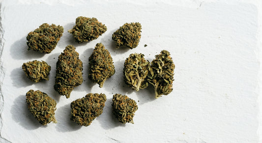 fournisseur CBD fleurs de chanvre premium en gros qualité européenne 2026