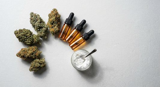 fournisseur CBD professionnel fleurs CBD vrac distillat isolat wholesale B2B 2026