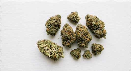 fournisseur CBD suisse fleurs hemp premium grossiste qualité alpine Hurcann