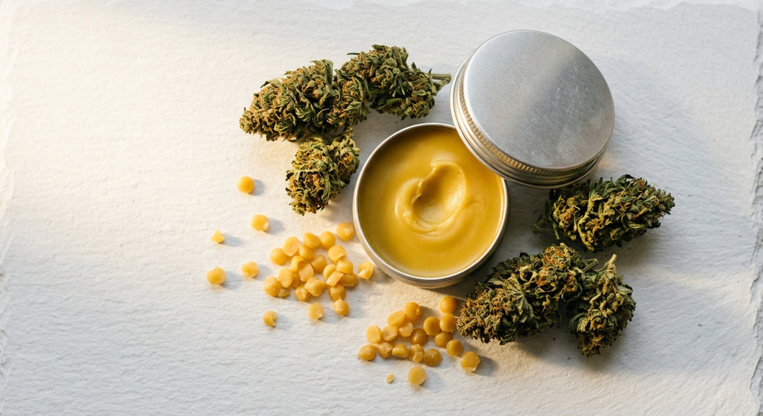 full spectrum CBD balm open tin with hemp flower buds flat lay Hurcann