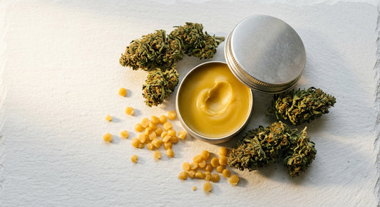 full spectrum CBD balm open tin with hemp flower buds flat lay Hurcann
