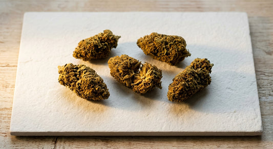 gold spectrum THCA hemp flower buds cured amber golden color flat lay Hurcann