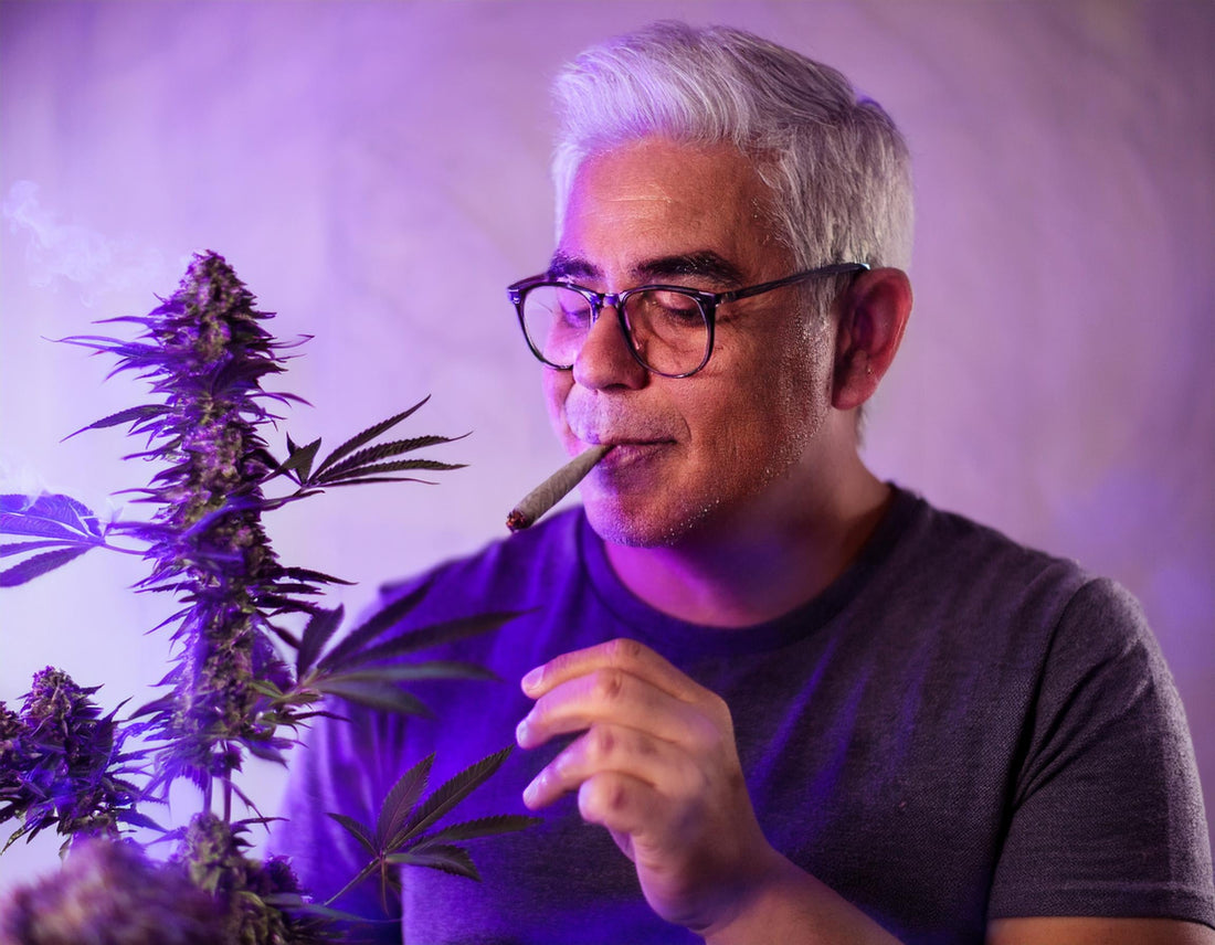 grandfather smoking a joint with a granddaddy purple plant in front of him 98144