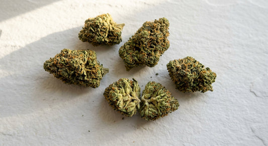 green zkittlez strain dense THCA hemp flower buds flat lay on white surface