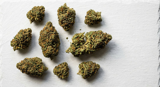 greenhouse CBD hemp flower buds flat lay dense trichome-covered quality 2026