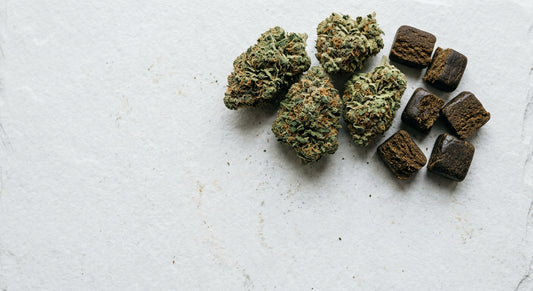 achat CBD en gros fleurs et résine CBD wholesale grossiste France 2026
