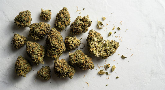 grossista CBD fiori di canapa all'ingrosso qualità premium su superficie bianca