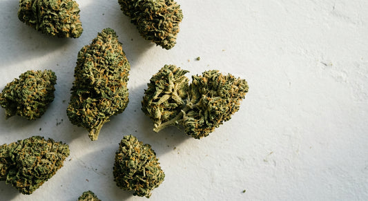 grossiste CBD Espagne fleurs de chanvre CBD en gros qualité premium Hurcann