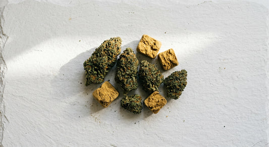 grossiste CBD Europe wholesale hemp flower and hash bulk supply Hurcann