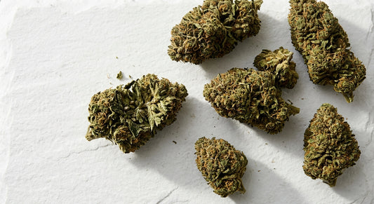 grossiste CBD kilogrammes fleur CBD en gros vrac premium Hurcann