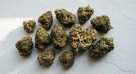 grossiste CBD Suisse pour France premium wholesale CBD hemp flower buds