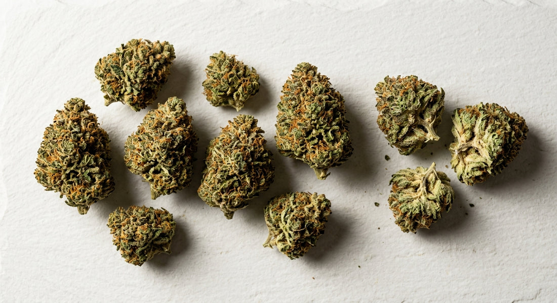 grossiste CBD Suisse premium Swiss indoor hemp flower buds wholesale bulk