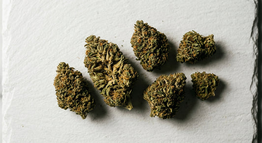grossiste CBD Toulouse premium wholesale hemp flower buds flat lay display