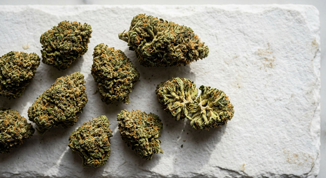 grossiste en CBD wholesale bulk hemp flower buds premium quality Hurcann