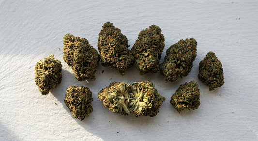 grossiste h4cbd fleurs en gros denses et trichomes sur surface blanche 2026