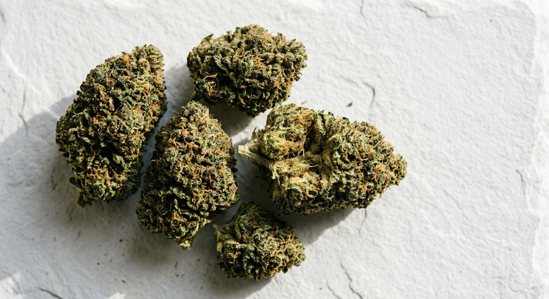 fleur CBD française premium buds denses produit local 2026 Hurcann