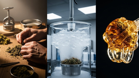 A triptych visualizing the solventless spectrum: from traditional CBD hash to ice water hash to live rosin, showcasing the journey of refinement.