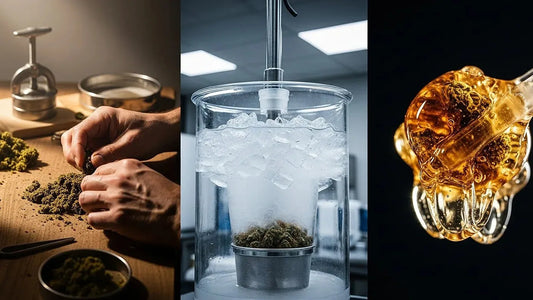 A triptych visualizing the solventless spectrum: from traditional CBD hash to ice water hash to live rosin, showcasing the journey of refinement | Hurcann