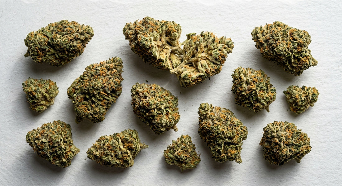 hemp flower for sale texas dense trichome-covered THCA buds wholesale Hurcann 2026