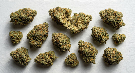 hemp flower for sale texas dense trichome-covered THCA buds wholesale Hurcann 2026