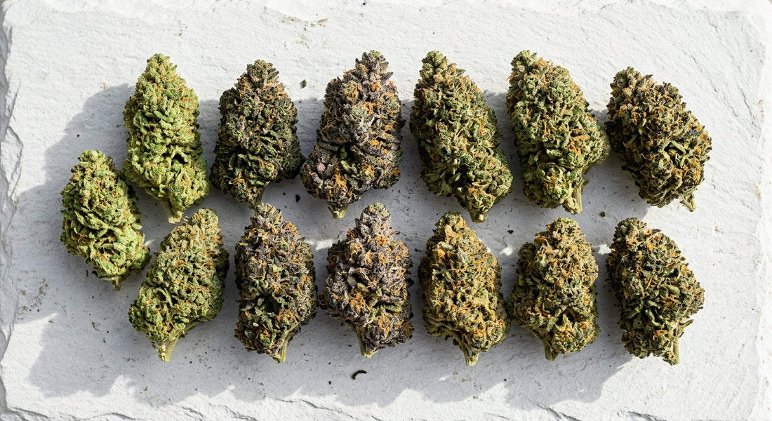 hemp flower strains variety CBD buds different colors wholesale Hurcann
