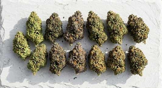 hemp flower strains variety CBD buds different colors wholesale Hurcann