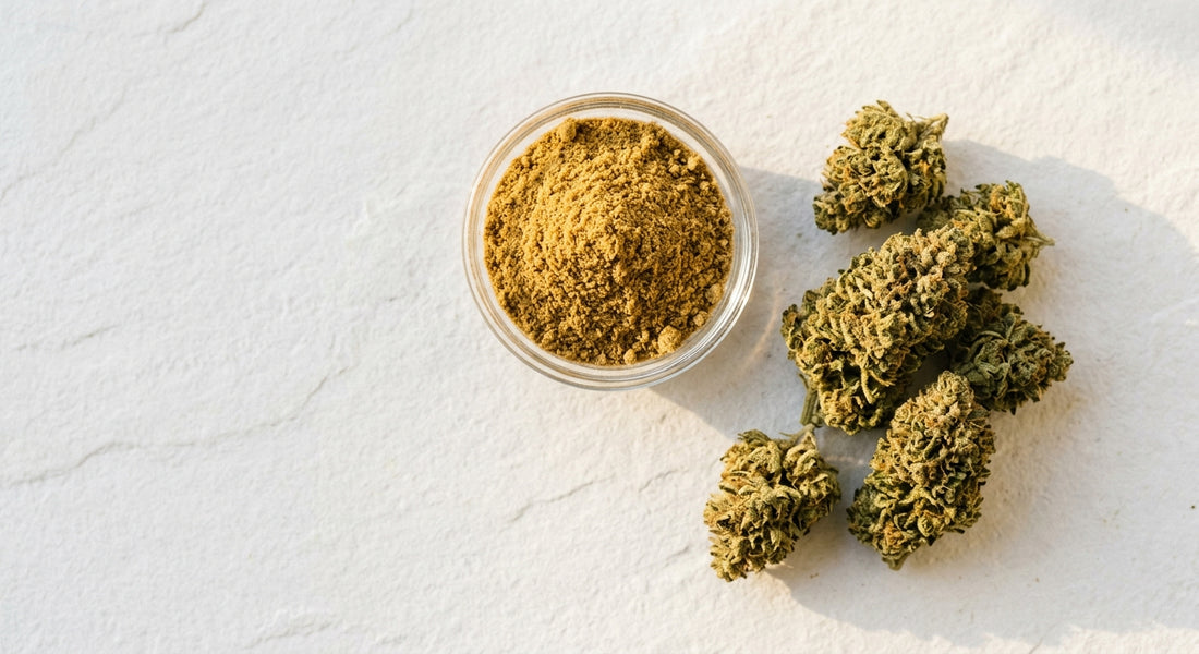 CBD hemp kief powder and CBG flower buds UK legal compliant products Hurcann
