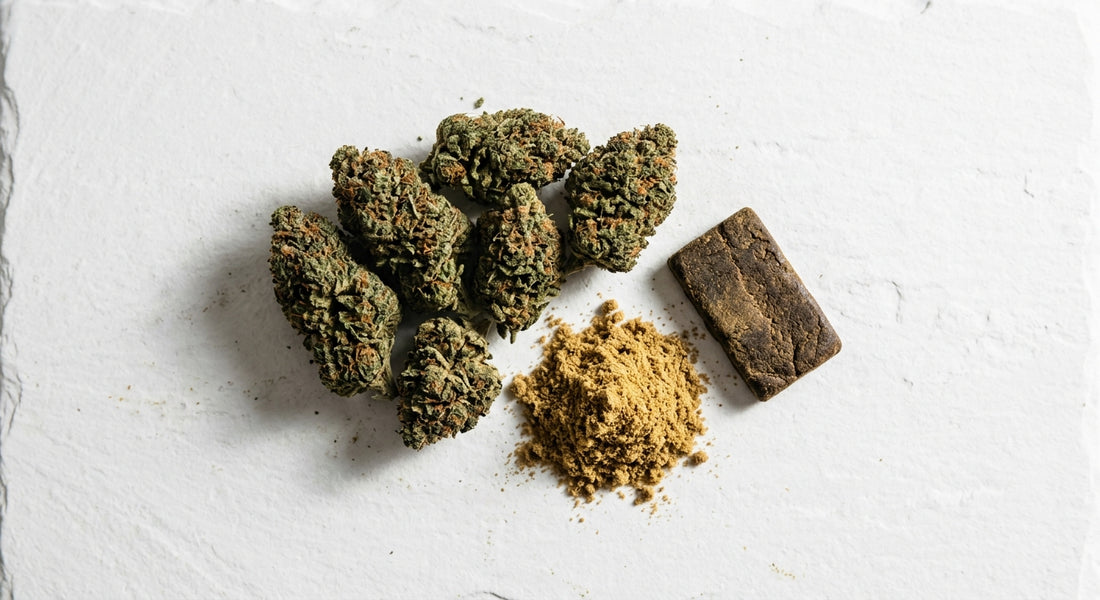 hemp wholesale germany CBD flower buds kief and hash bulk wholesale Hurcann
