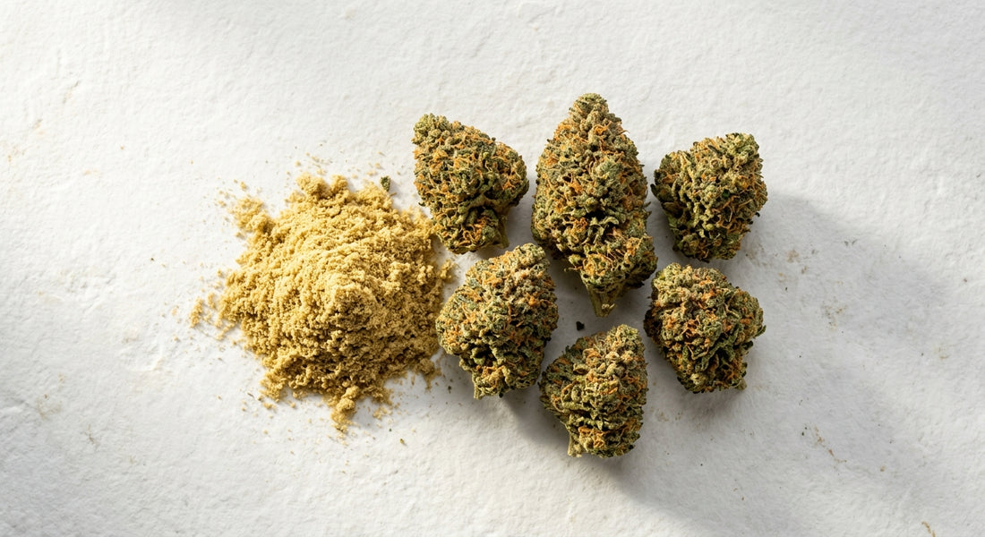 hemp wholesale netherlands bulk CBD flower and kief on white surface Hurcann