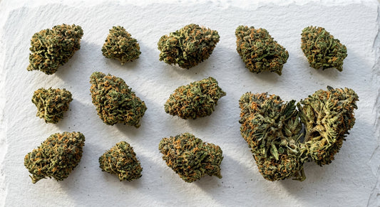 high CBD low THC hemp flower buds flat lay on white surface 2026 guide