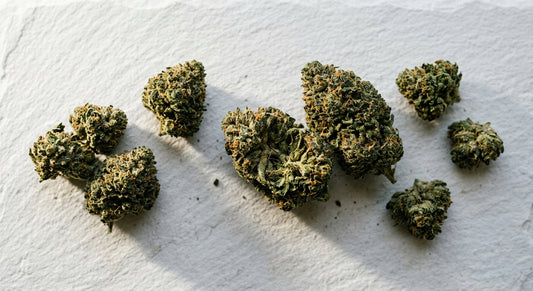high CBD low THC hemp flower buds flat lay on white surface Hurcann