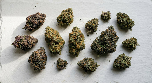 high CBD strains list 2026 premium hemp flower buds flat lay Hurcann