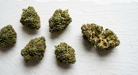 high CBD and THC hemp flower strains flat lay showing dense trichome-covered buds 2026