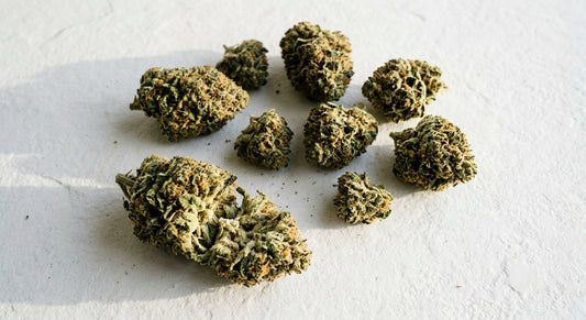 high hippy flower company THCA hemp flower buds on white surface 2026 review