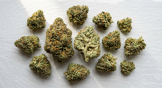 highest THCA hemp flower buds arranged flat lay showing dense trichome coverage Hurcann