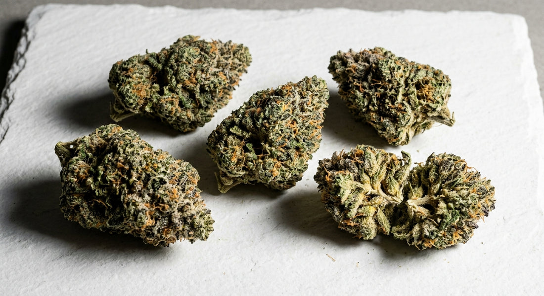 highest THCA strain hemp flower buds dense frosted 2026 Hurcann