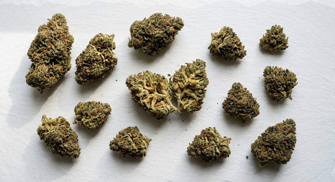 how THCA flower is made premium dense buds on white surface Hurcann