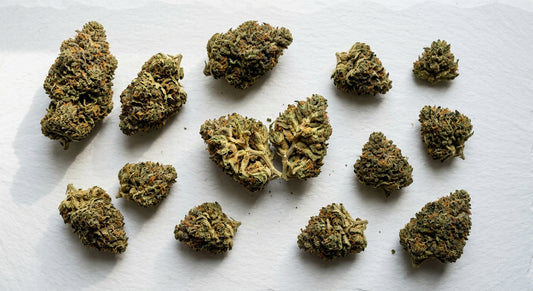 how THCA flower is made premium dense buds on white surface Hurcann