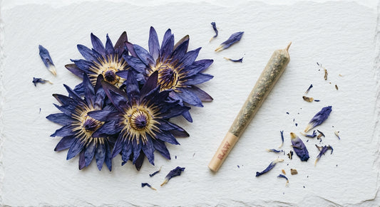 how long does blue lotus last dried flower and pre-roll flat lay Hurcann 2026