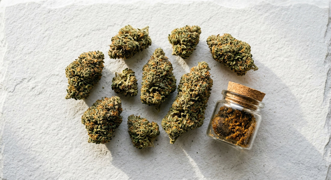hurt konopie CBD susz i bubble hash hurtowa partia produktów konopnych 2026