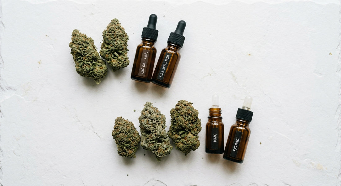 hurtownia CBD dropshipping produkty kwiaty i olejki CBD premium 2026
