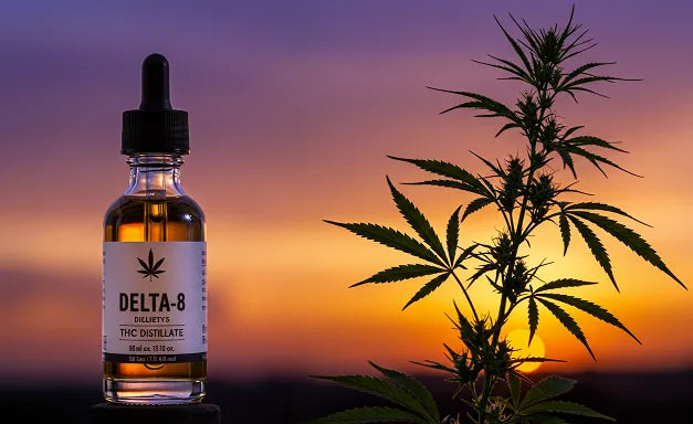 Cannabis plant with a serene CBD crystal and fiery Delta-8 THC distillate, against a purple-orange sunset sky | Hurcann