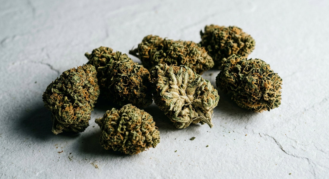 indoor hemp flower wholesale premium THCA buds dense trichome-covered Hurcann