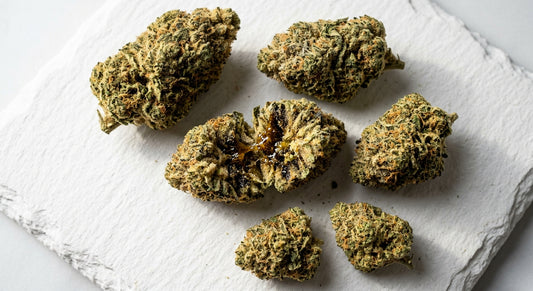 infused hemp flower buds coated in kief on white surface high potency 2026